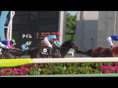 ヒシアマゾン　第１５回　ジャパンカップ ヒシアマゾン 1995年 第15回ジャパンカップ(GI) (優勝馬：ランド