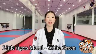 Little Tigers Moral - White Green Belt