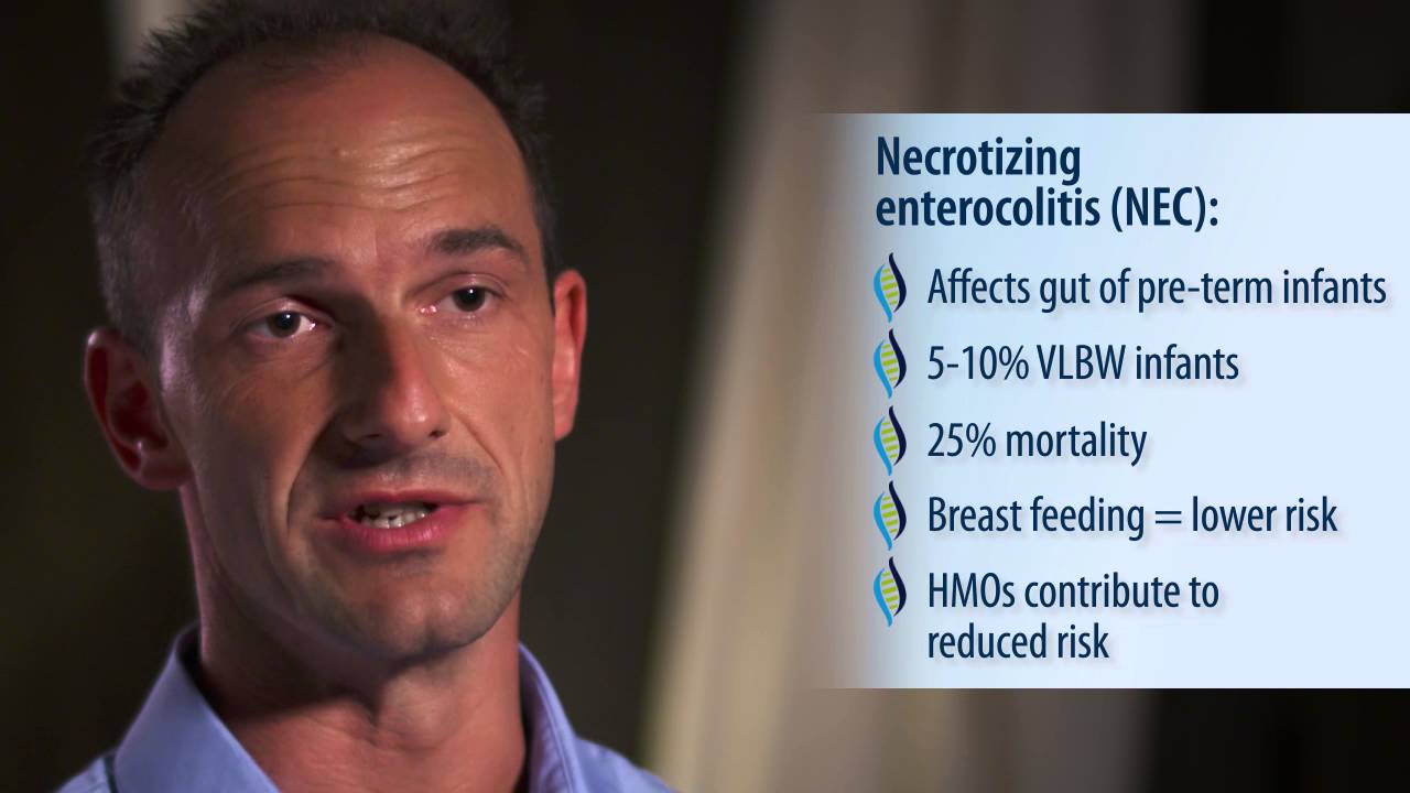 Lars Bode, PhD: Potential Effects of HMOs on Adult Gut Microbiome - YouTube