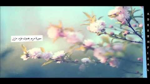 سورة مريم  - مؤيد مزين