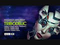 Mozza  sale ls b2b set at tribodelic party 2017