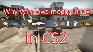 The best OS for CS2 and why it's Windows*.