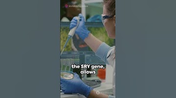Y chromosome testing: Sex Determination