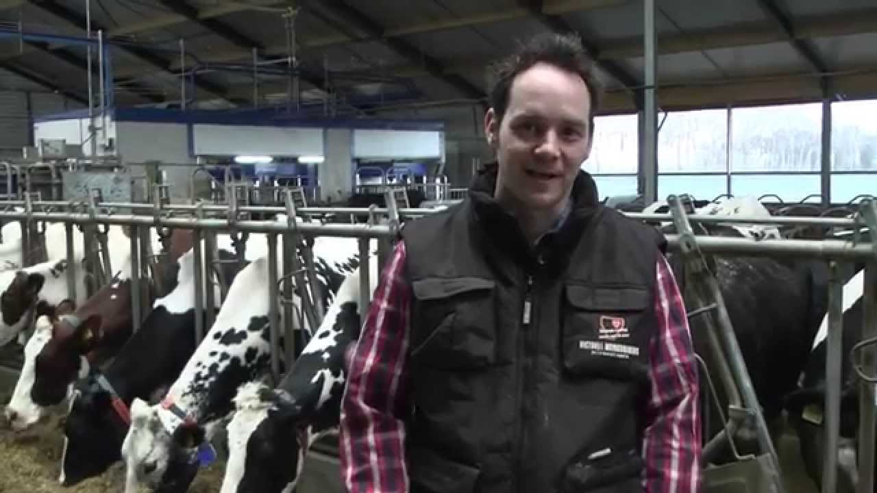 Jos Heeren over VMS en weidegang