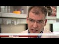The fight against ash dieback - BBC London
