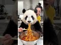 "Adorable AI Video: Panda Enjoys Maggi by Korean Girl"।