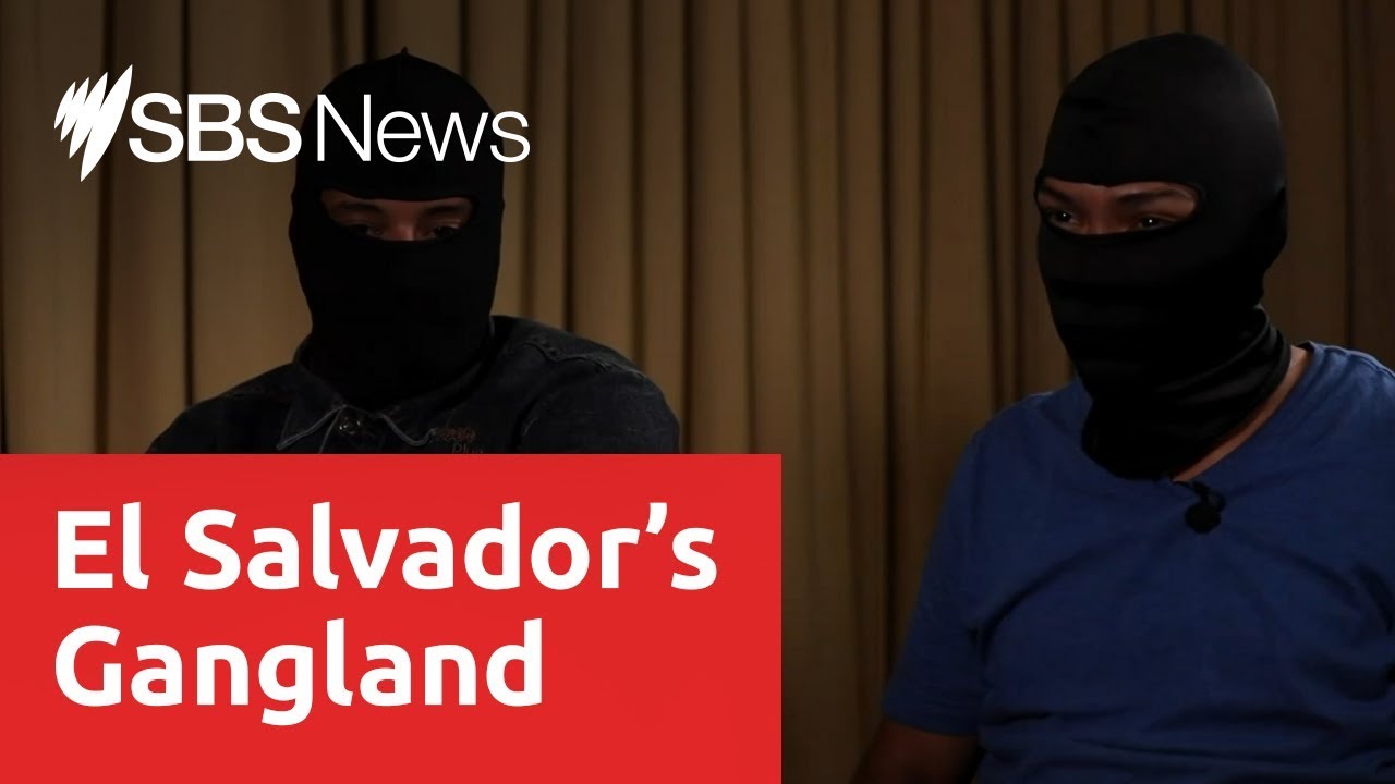 Gang violence and death is becoming a part of everyday life in El ...