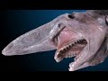 The Shark with Alien jaw #deep #sea #ocean #The goblin shark creepiest predator