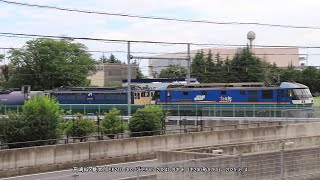 高崎線・桃太郎EF210-302ムドEF65 2084タキ+コキ200形8765レ・2025/6/4