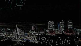 Details Platinum Black Records - Peg City Guide
