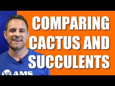 Videó: Mi az a pozsgás növény – Succulent vs. Kaktusz és egyéb pozsgás növények jellemzői