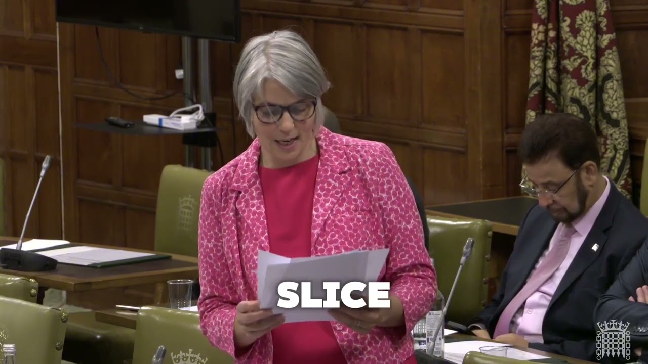 Anna Dixon MP hosts debate on Youth Mental Health Services