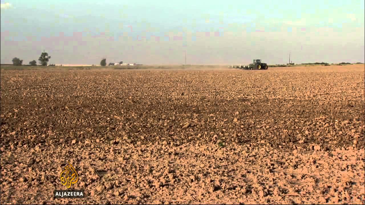 زرع بذور ثورة غذائية
