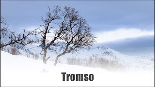 Tromso in Norvegia, a caccia dell'aurora boreale