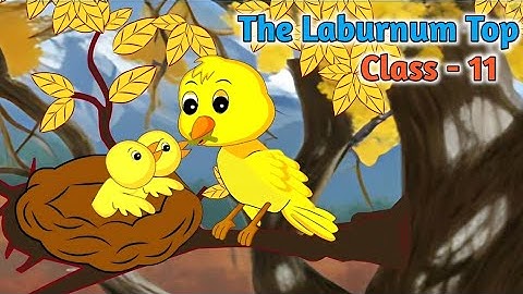The Laburnum Top Class 11 | Line by Line Explanation | In Hindi Animation
