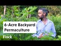 He Turned His Parent's 6-ACRE BACKYARD Into a PERMACULTURE Paradise — Ep. 050