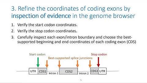 Gene Annotation, MAIN STEPS