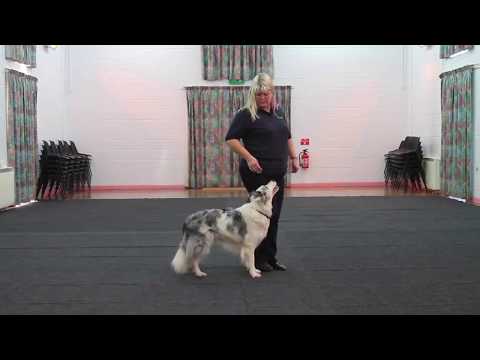 Progress Awards | Level 1 | Division A: Musical Dressage | Element 8