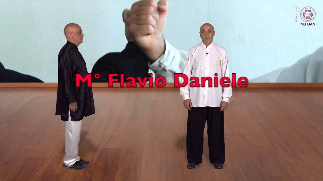 Tui Shou Vol. 1-2-3 Collezioni - Flavio Daniele - Tai Chi Online - Area download video