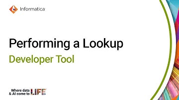 Performing a Lookup in the Developer Tool