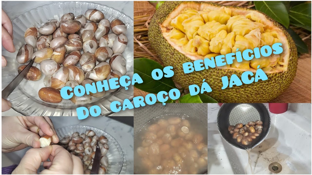 OS BENEFÍCIOS DO CAROÇO DA JACÁ!! PRO CABELO, vitamina (A) - YouTube