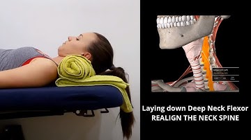 Laying down Deep Neck Flexor - REALIGN THE NECK SPINE