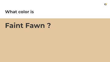 Faint Fawn color #e2c59c hex color - Yellow color - Cool color e2c59c