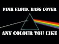 Any colour you like  pink floyd  bass cover with tabs