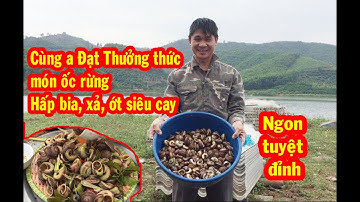 Đi bắt ốc rừng luộc bia, sả, ớt | ăn một lần nhớ mãi, thơm ngon hấp dẫn vô cùng | đặc sản miền núi