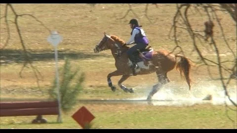 Margaret Shepard  "Paint By Numbers"  Sporting Day...