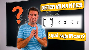 🎯 ¿Qué sentido tiene el DETERMINANTE de una MATRIZ?