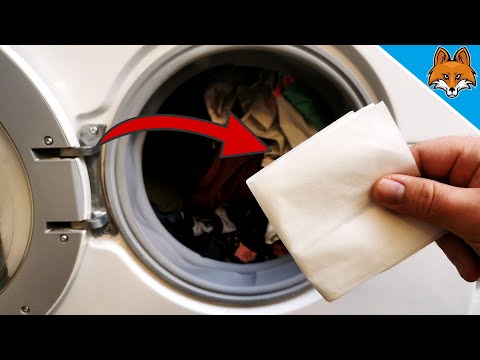 Pelos de mascota en la lavadora, usa este truco para no volver a verlos