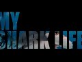 MY SHARK LIFE SEASON 3 Intro clip!  Season 3 kicks off MAY 2023! #SUBSCRIBE