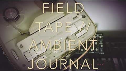 OPZ & Grundig TK40 Reel-to-Reel Player through Moog Minitaur & Loop Pedal…