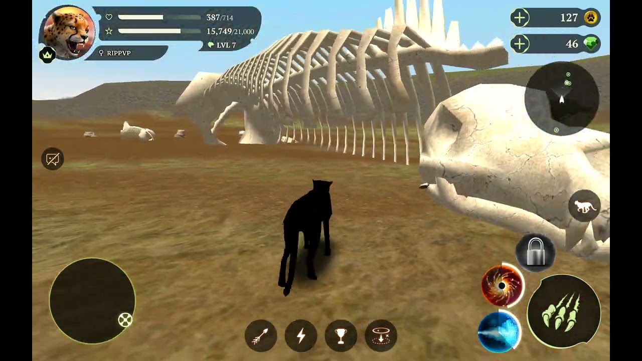 The Cheetah Gameplay since people love it