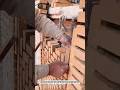 Amazing Decorative Brick Wall Installation Using Hand Chisel Technique #MasonryWork #Shorts