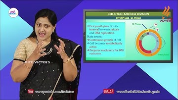 First Bell 2.0 Plus One Botany Class 34