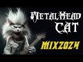 Metal mix metalhead cat
