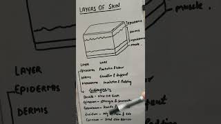 Skin Layers &amp; Sub-layers: Anatomy Explained in Hinglish.
