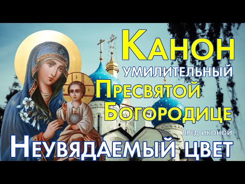 Канон умилительный ко Пресвятой Богородице пред иконой "Неувядаемый цвет"