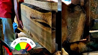 Something Was Wrong Inside This Log