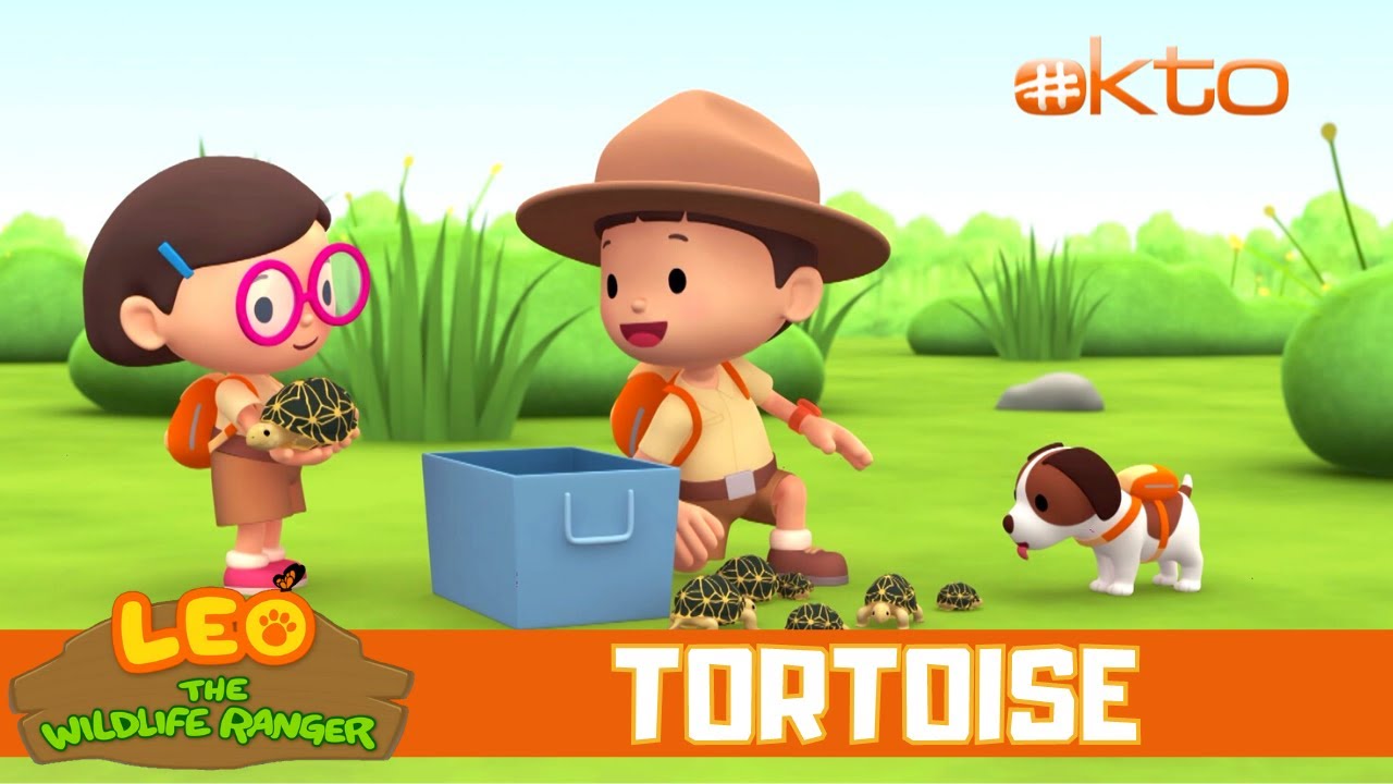 Finding Tortoise A Place to Hide From Predators!|Leo the Wildlife Ranger|Full Episode|Mediacorp okto