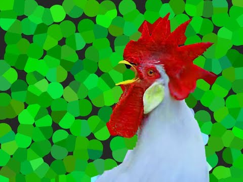 the-living-creatures-channel---rooster-crowing-in-the-morning,-eps-2:-cranky-rooster