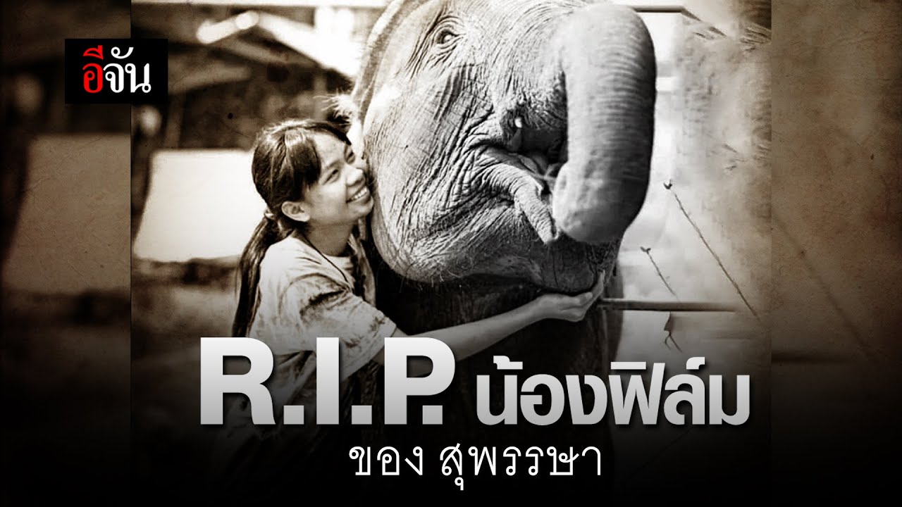 R.I.P. น้องฟิล์ม ของ สุพรรษา | อีจัน EJAN