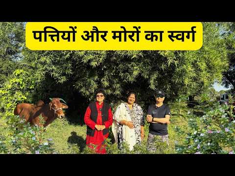 ये है असली Oxygen Chamber एक Farm जो बन गया पत्तियों और मोरों का स्वर्ग