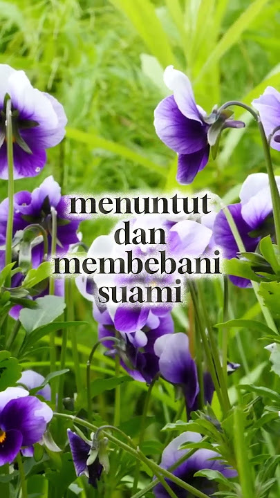 Ini ciri ciri istri akhir zaman yang akan menjadi calon penghuni neraka