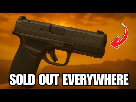 Sold Out Everywhere: The Guns Americans Are Rushing to Buy