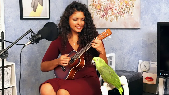 MY PARROT SINGS CREEP BY RADIOHEAD WITH ME | Chloe...