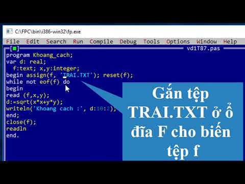 Video Ví dụ 1 - Ví dụ làm việc với kiểu dữ liệu tệp - Tin... - YouTube
