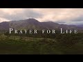 Image of Prayer for Life HD video